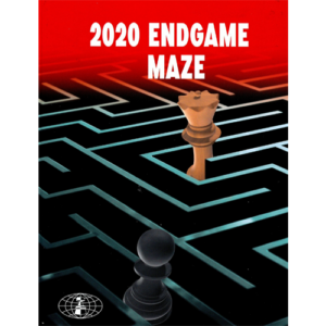 ivanisevic 2020 endgame maze