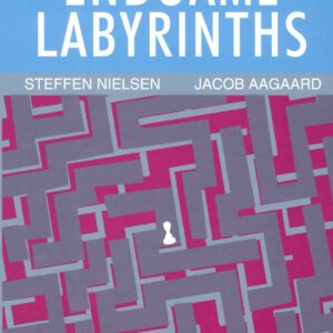 Nielsen/Aagaard - Endgame Labyrinths