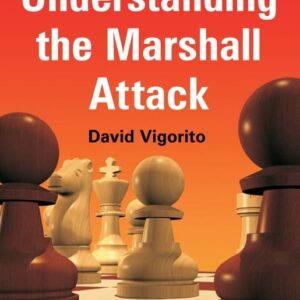 VIGORITO - Understanding the Marshall Attack