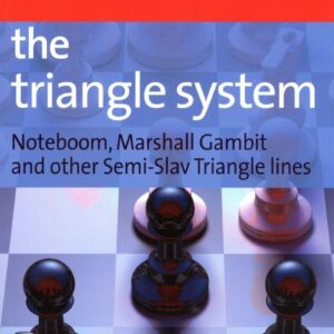 SCHERBAKOV - The Triangle System